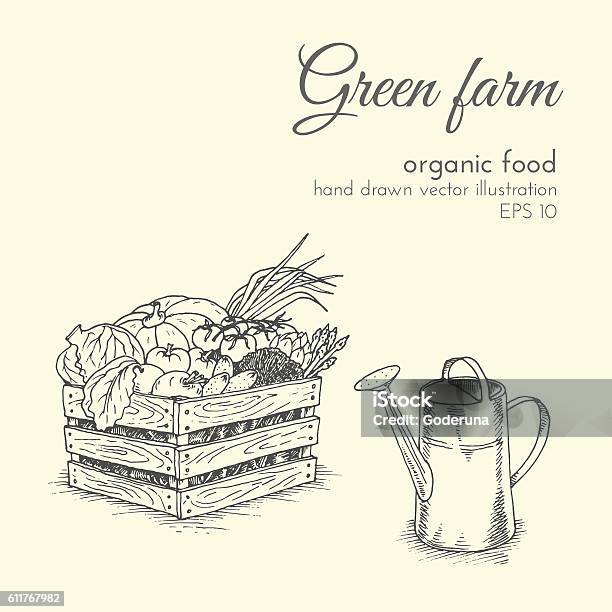 Vector Illustration Of Organic Products Sketch Farmer Eco Harvest Vegetables Stock Illustration - Download Image Now