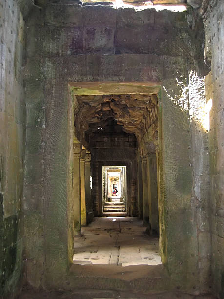 preah khan, reino de angkor, siem reap, camboja. - banyan tree asian ethnicity art cambodia - fotografias e filmes do acervo