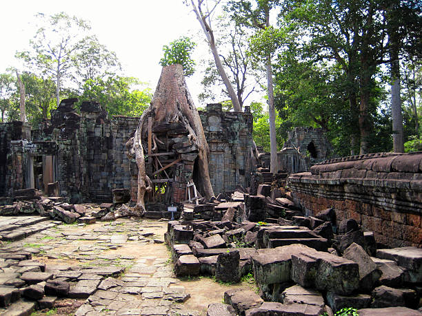 preah khan, reino de angkor, siem reap, camboja. - banyan tree asian ethnicity art cambodia - fotografias e filmes do acervo