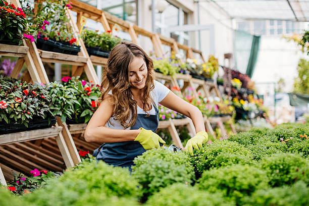 istock Pruning flowers in the nursery 611771056