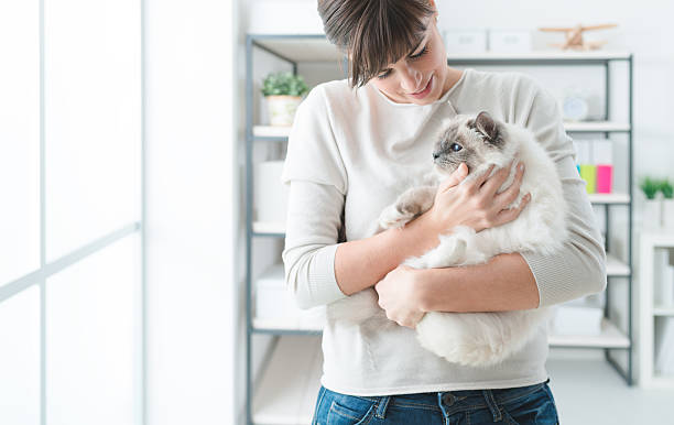 istock Woman holding her lovely cat 611772180