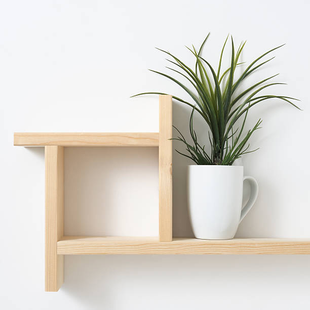 istock houseplant on wooden shelf 611773452