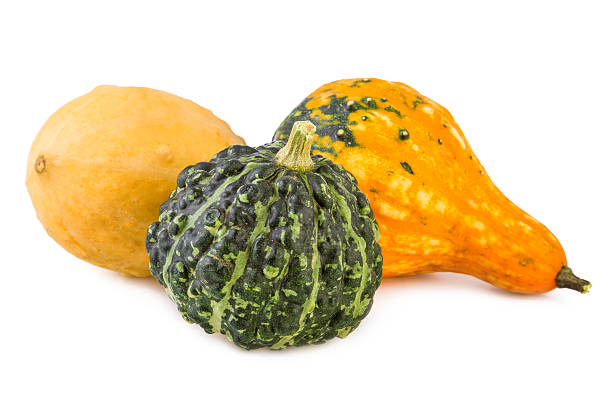 istock pumpkins decorative colorful various gourds ornamental assorted 611773866