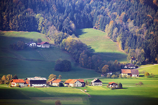 istock Sunny October day in Austria. Autumn in Alps 611774802