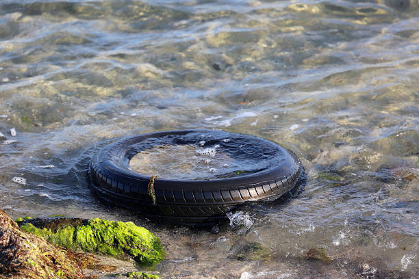 istock Abandoned Car Tire in the Water 611775012