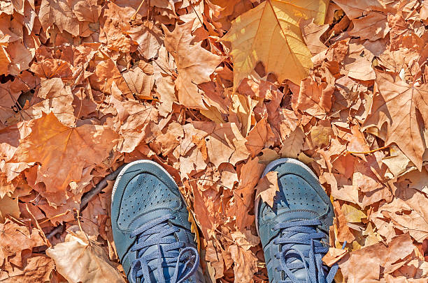 istock In the autumn forest, view from my eyes 611775328