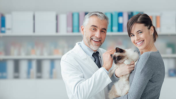 Veterinary clinic Smiling woman and her cat at the veterinary clinic, a doctor is cuddling her pet birman photos stock pictures, royalty-free photos & images
