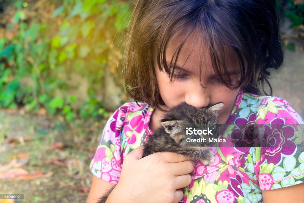 Girl taking care of the baby cat - Royaltyfri Allvarlig Bildbanksbilder
