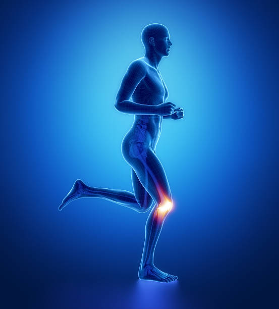 колено проведение человек ноги-сканирование в синий  - human knee pain human spine human joint стоковые фото и изображения