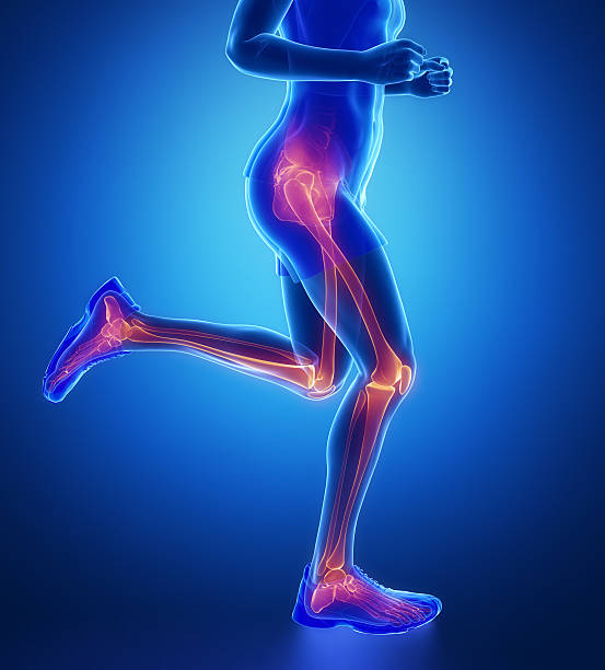 rodilla, cadera, tobillo - exploración de la pierna del hombre que corre en azul - columna vertebral humana fotos fotografías e imágenes de stock