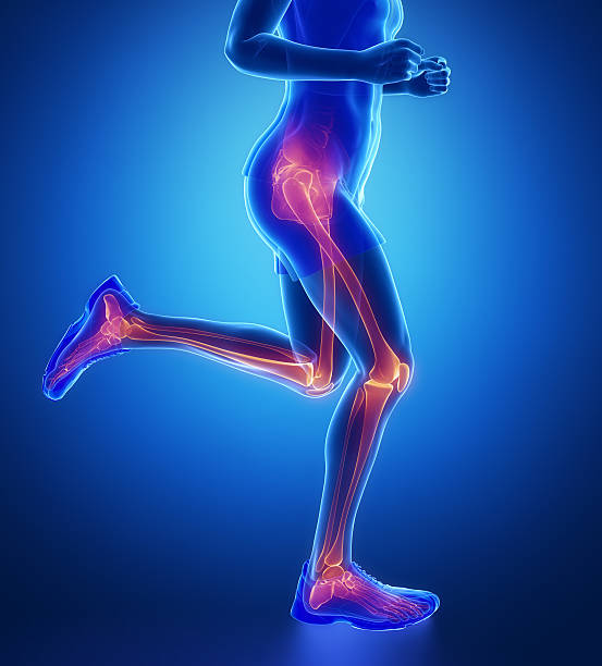 knee, hip, ankle - running man leg scan in blue - human joint human knee pain x ray imagens e fotografias de stock