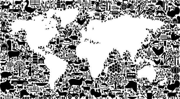 World Map Farming and Agriculture Black Icon Pattern World Map Farming and Agriculture Black Icon Pattern . The black vector icons create a seamless pattern and include popular farming and agriculture. This black and white icon patter inclides: Farm house, farm animals, fruits and vegetables and seasonal food items. The icons are carefully arranged on a light background and vary in size. pig farmer china stock illustrations
