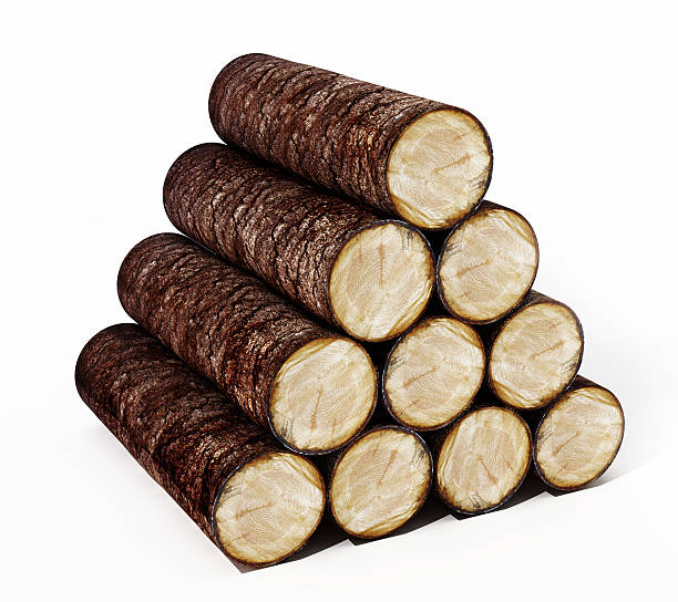 istock Pile of wood logs 611785742