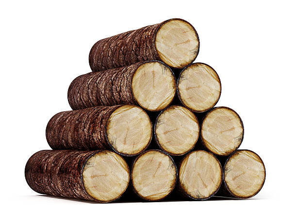 istock Pile of wood logs 611786178