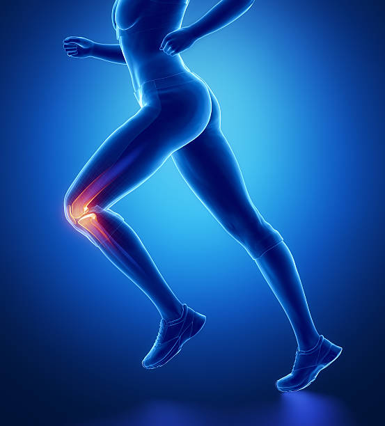 anatomia do joelho - human joint human knee pain x ray imagens e fotografias de stock