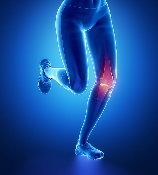 Injured knee with highlights Injured knee with highlights posterior cruciate ligament stock pictures, royalty-free photos & images