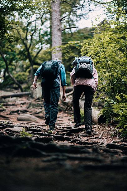 istock Fit mature couple hiking trough forest 611789332