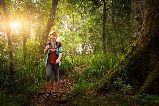 istock Woman traveler with backpack walking in rain forest. 611791410
