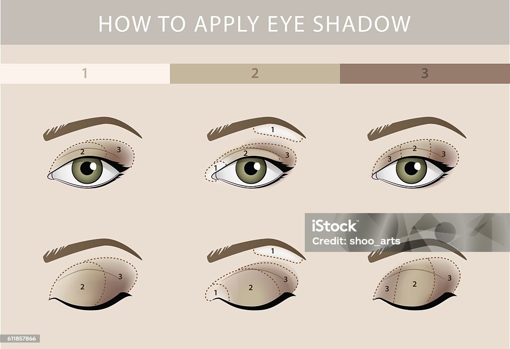 Eye makeup template vector Eye makeup types template color beauty vector Eyeshadow stock vector