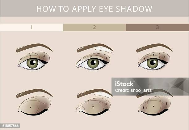 Eye Makeup Template Vector Stock Illustration - Download Image Now - Eyeshadow, Make-Up, Tutorial
