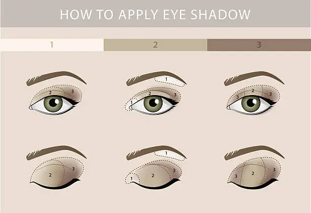 Vector illustration of Eye makeup template vector