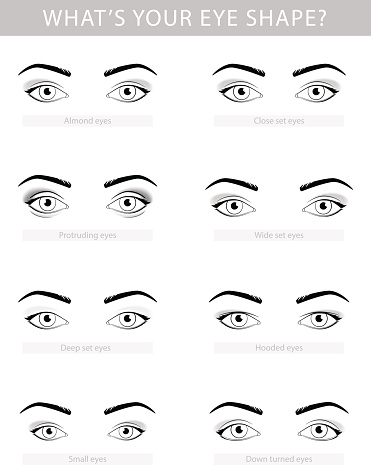 Various types of woman eyes, vector set template