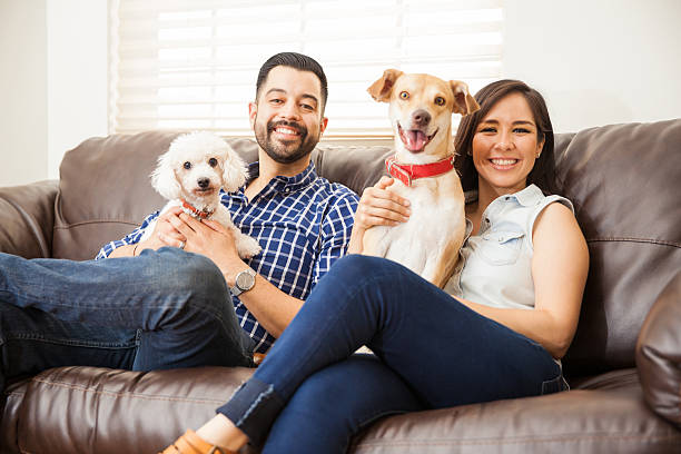 istock Young couple with two dogs at home 611858516