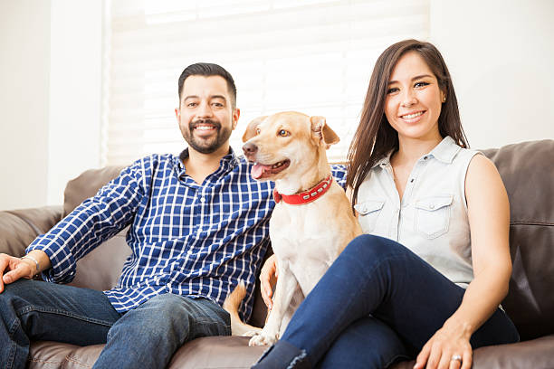istock Attractive couple with a dog at home 611858598