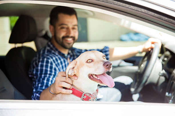 istock Cute dog riding in the passenger seat 611858806