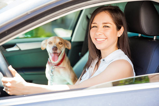 istock Cute woman driving with her dog 611859018