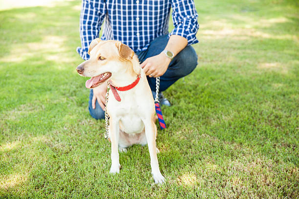 istock Man walking his dog at a park 611859692