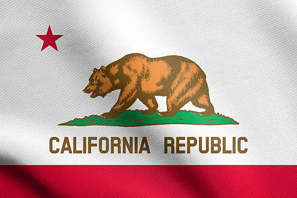 istock Flag of California waving with fabric texture 611860334