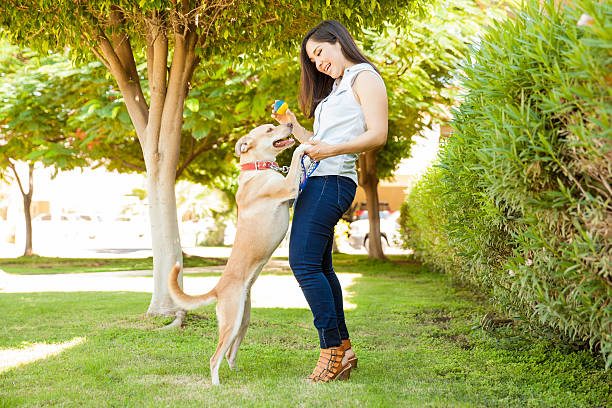 istock Pretty girl playing with her dog 611860448