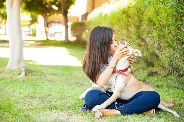 istock Showing some love to her dog 611860786