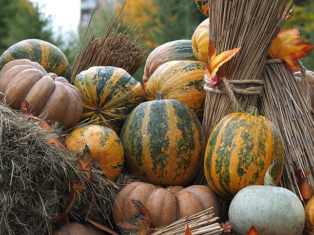 istock Autumn farmer's crop. 611862980