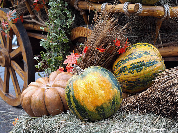 istock Autumn farmer's crop. 611863542