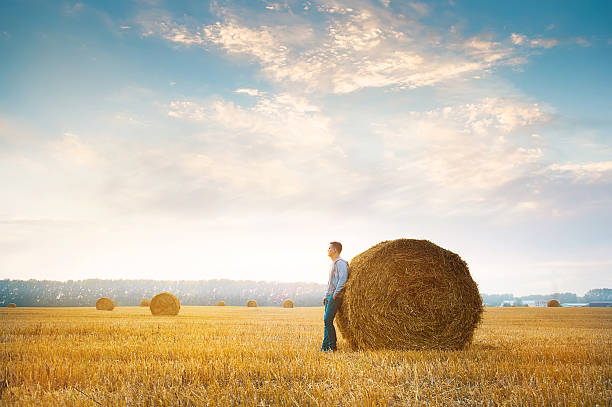 istock Young man near straw bales 611863568
