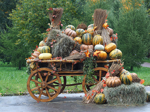 istock Rustic wagon laden with pumpkins and hay. 611863650