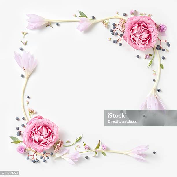 Foto de Borda De Quadro Rosa Fresco Isolado e mais fotos de stock de Casamento - Casamento, Moldura de Quadro - Composição, Fundo Branco