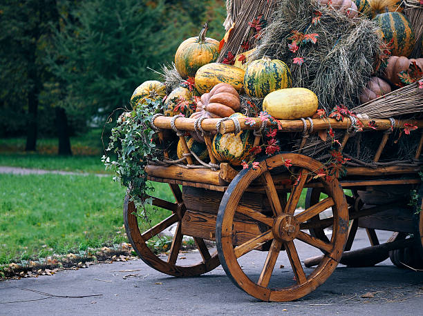 istock Rustic wagon laden with pumpkins and hay. 611863730