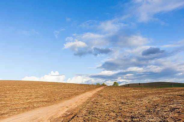 istock Dirt Road Hillside Harvested Field 611864086