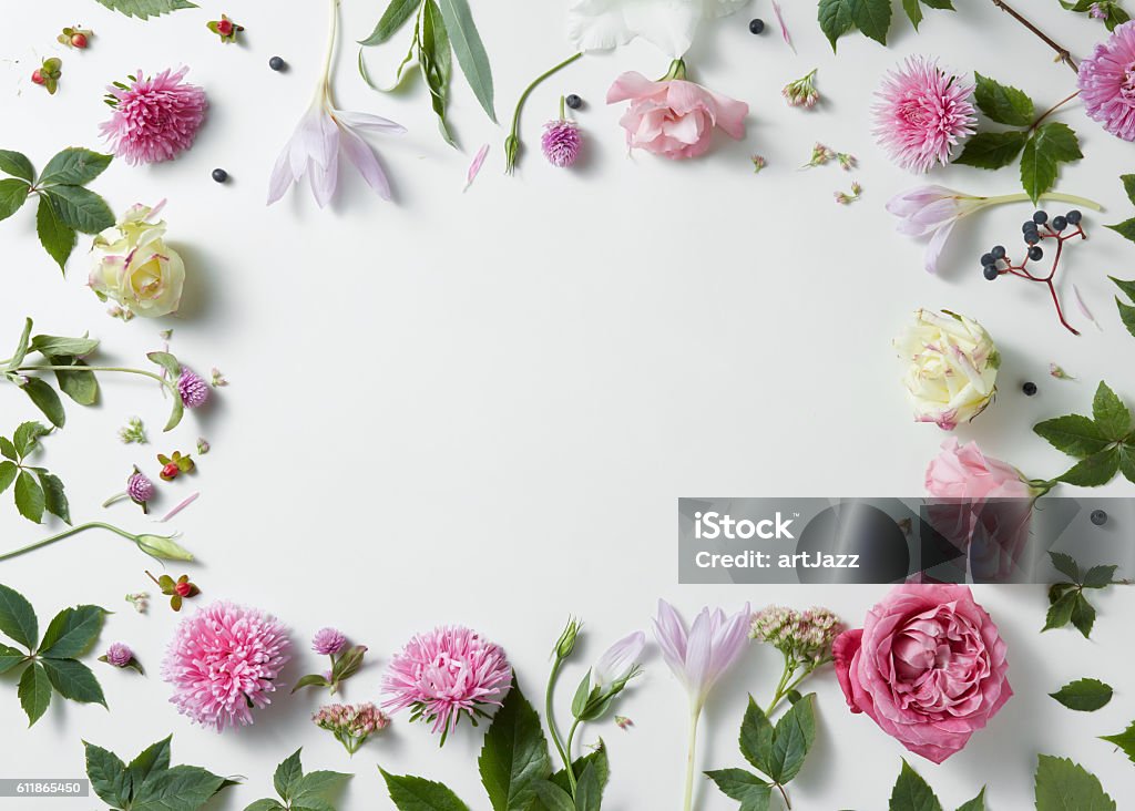 bordure de roses roses et blanches à feuilles vertes - Photo de Anniversaire libre de droits