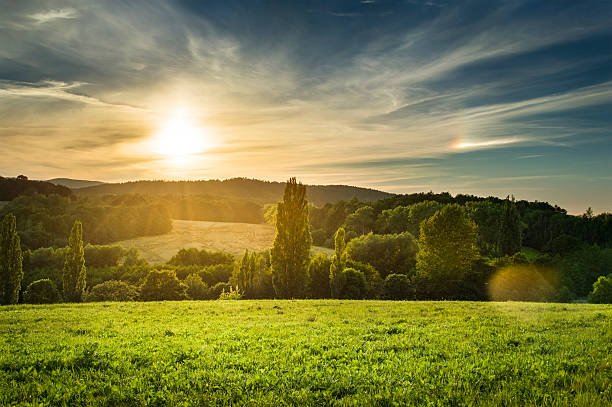 istock Meadow in the evening sun 611868196