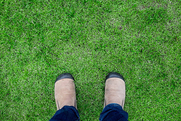 istock Brown suede shoes standing on grass field 611871110