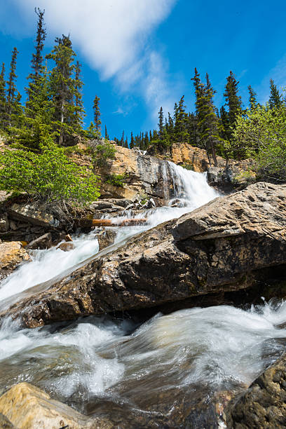 tangle falls - tangle falls - fotografias e filmes do acervo