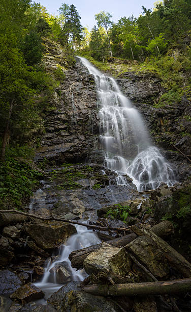 istock Scorus Waterfall, biggest in Romania, Carpatians mountains 611884214