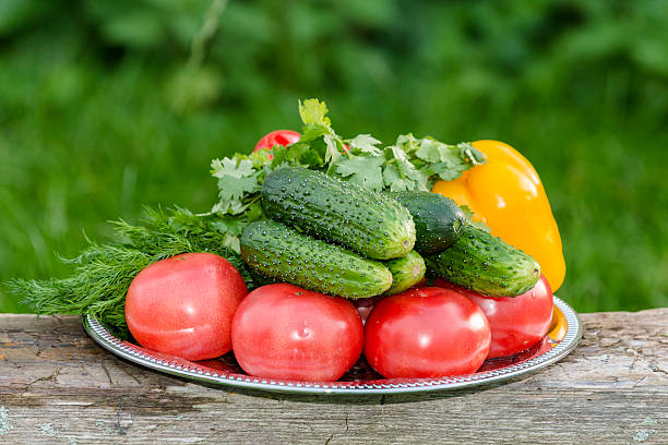 istock Composition with the raw vegetables on the plate 611884838