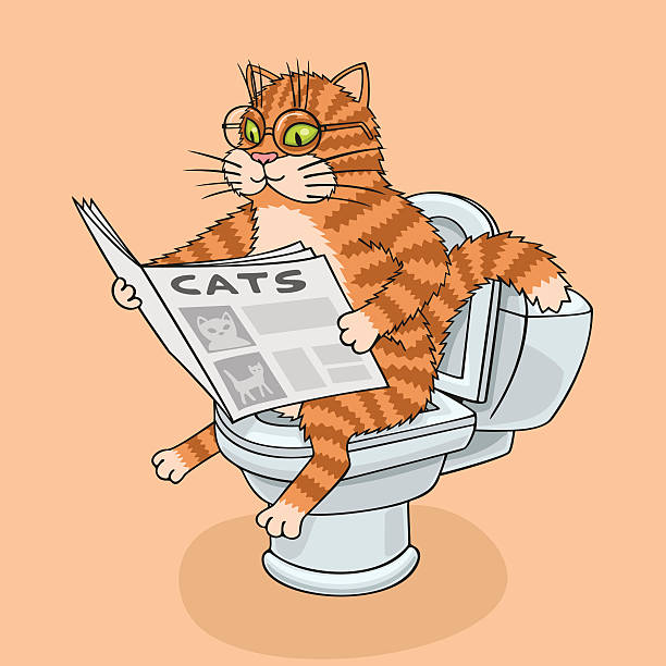 kot w toalecie. - toilet public restroom newspaper reading stock illustrations
