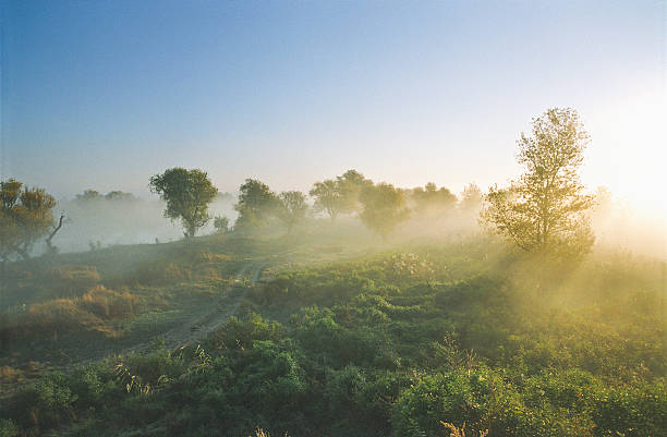 Morning mist over the river. The road through the autumnal forest.
