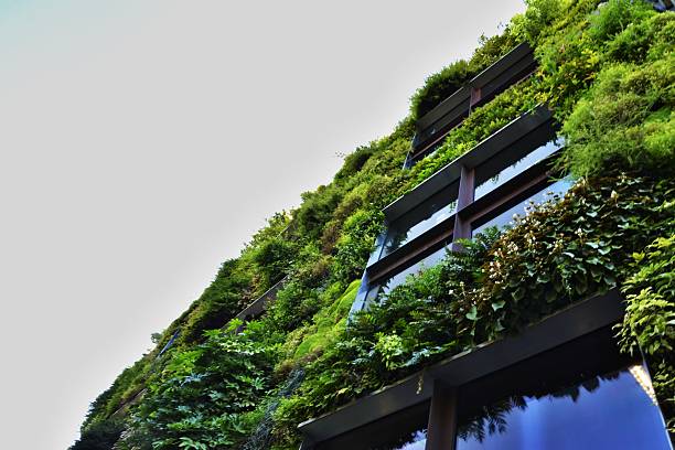 istock Greenhouse in Paris 611889392
